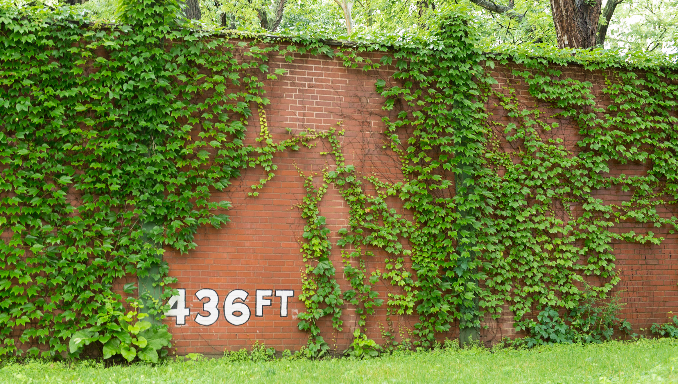 The outfield wall at Forbes Field, former home of the Pittsburgh Pirates baseball team