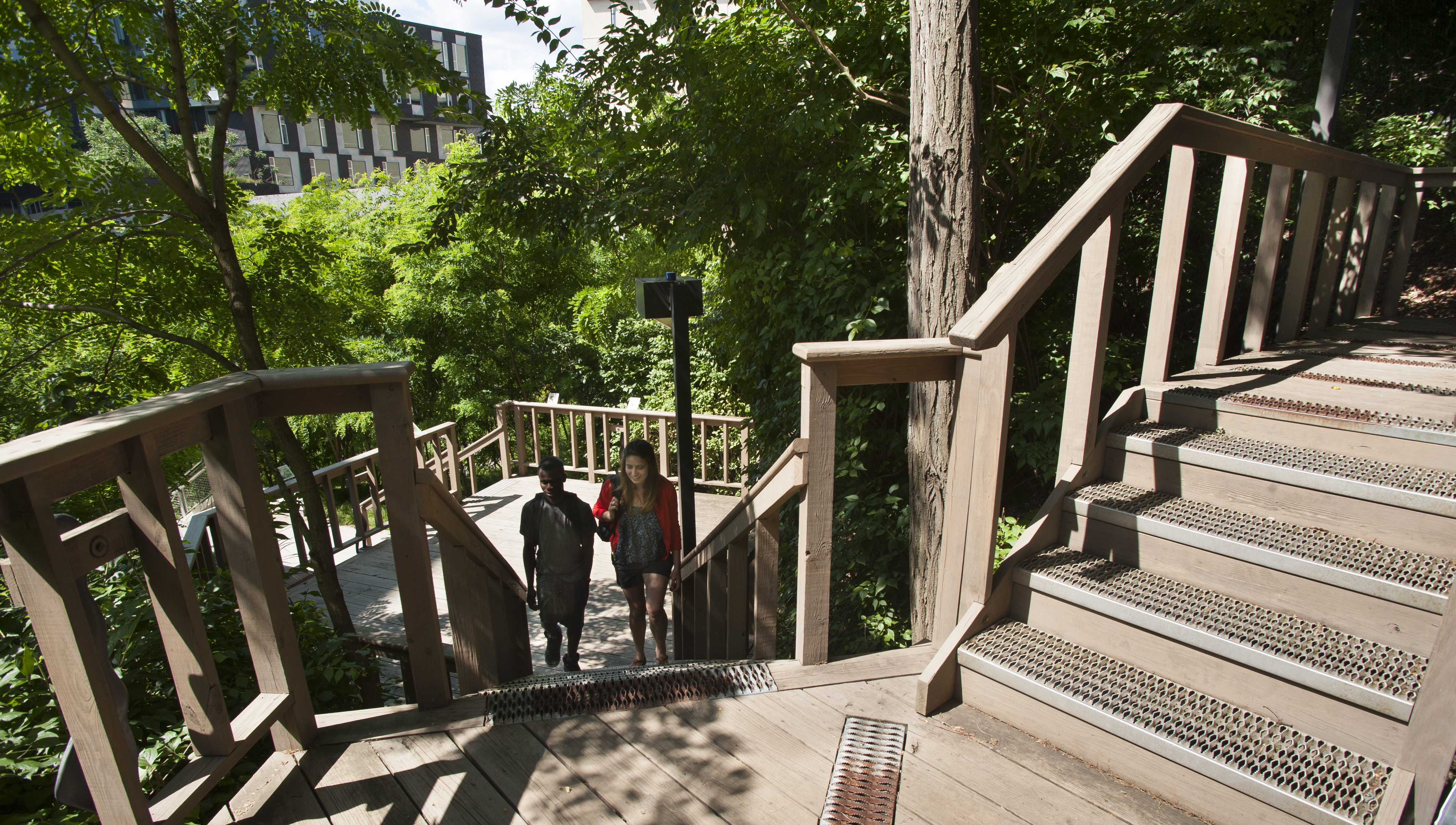 Carnegie Melon students walk near on-campus garden space