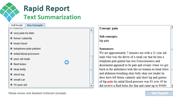 Screenshot of Rapid Report Interface