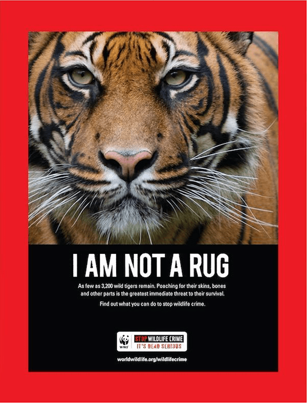 Tiger with text underneath that reads, "I am not a rug,"
