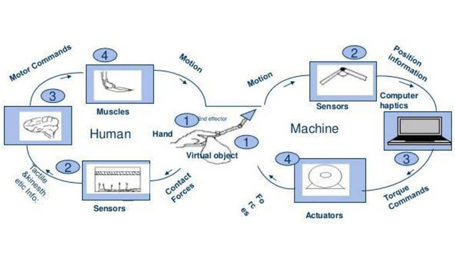 Diagram illustrating the process of haptic feedback