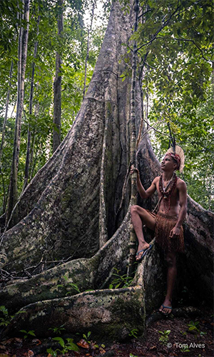 Man standing next to a massive tree. Photo credit to Tom Alves; used with permission from Pachama.