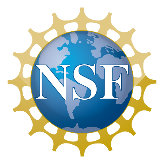 nsf.jpg (2774 bytes)